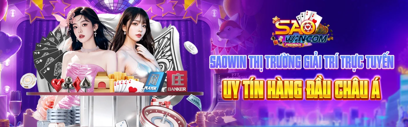 Banner SAOWIN