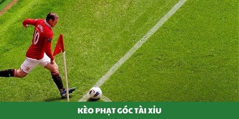 Thành viên tham gia kèo góc Tài Xỉu