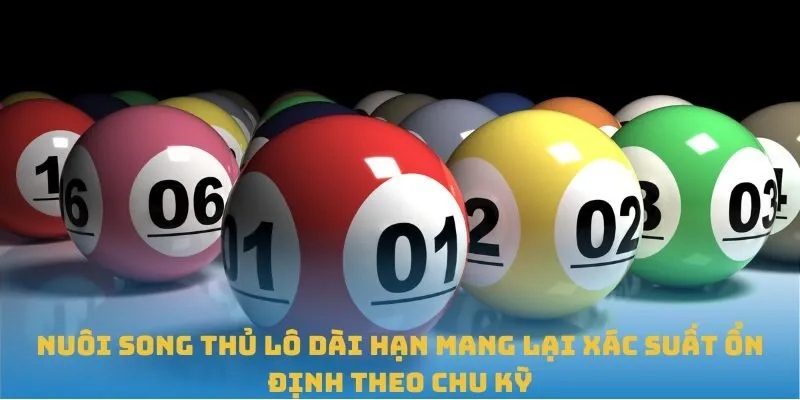 Nuôi song thủ lô dài hạn mang lại xác suất ổn định theo chu kỳ