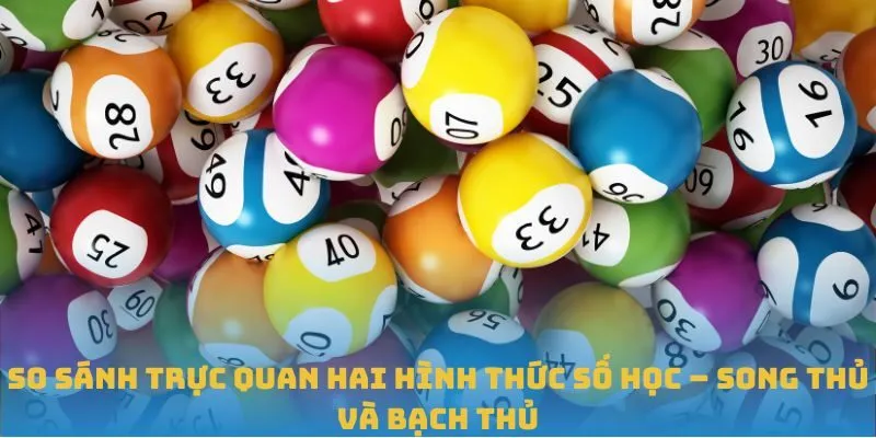 So sánh trực quan hai hình thức số học – song thủ và bạch thủ