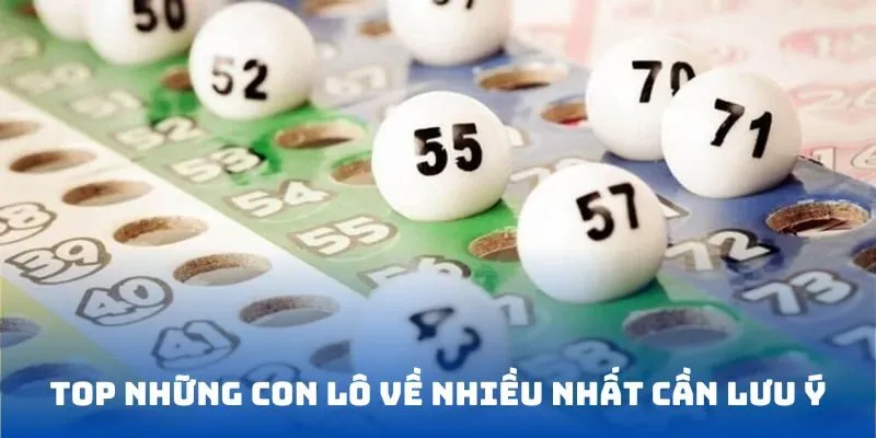 Top những con lô về nhiều nhất cần lưu ý